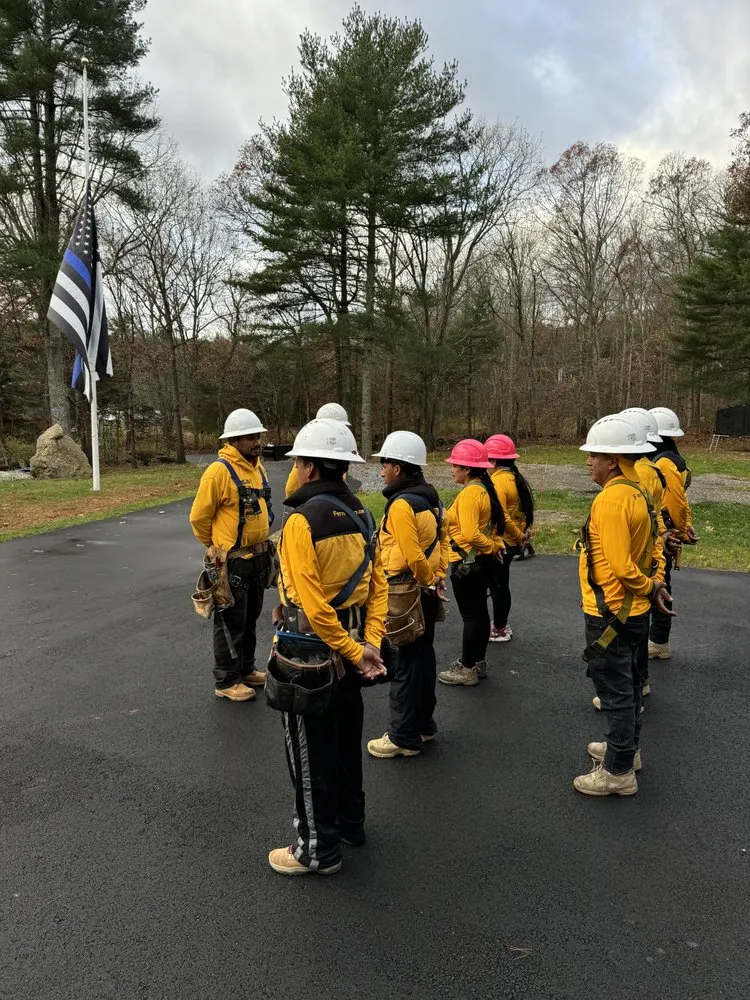 Slide of Ferreira Company