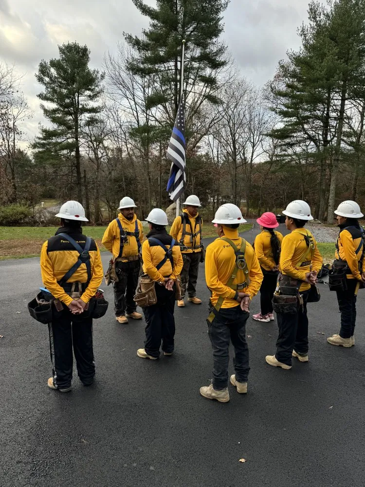 Slide of Ferreira Company