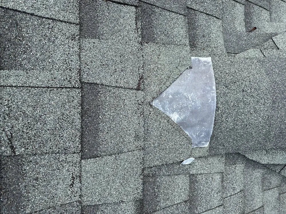 Slide of Ferreira Exteriors