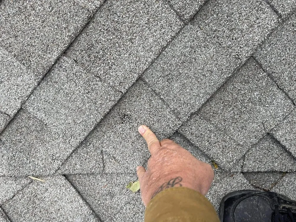 Slide of Fetch Roofing