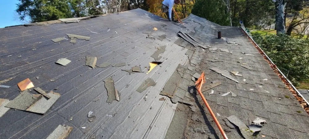 Slide of FH Renovation