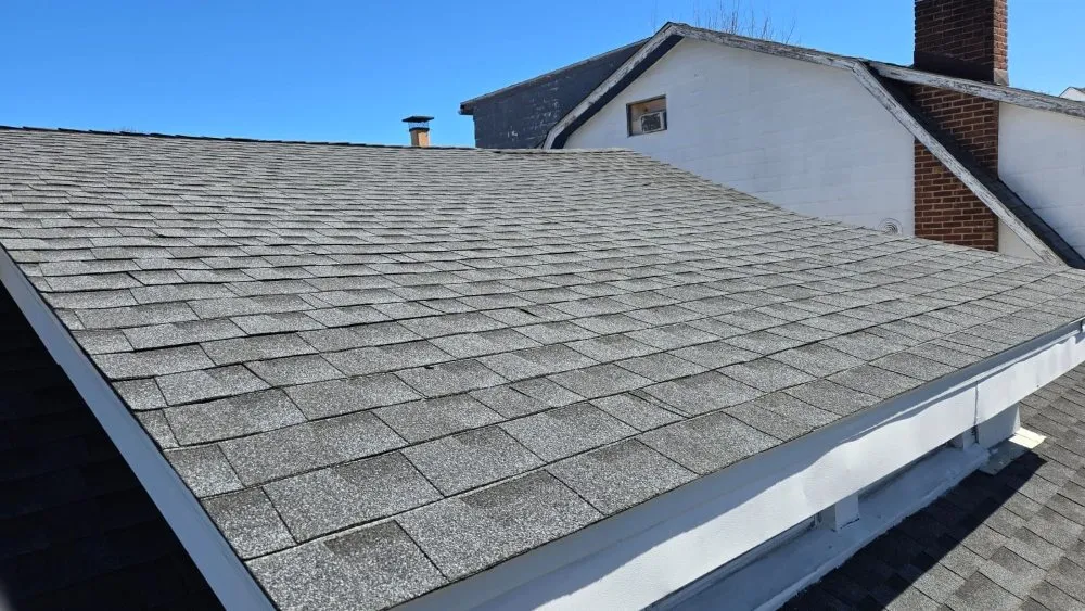 Slide of FH Renovation