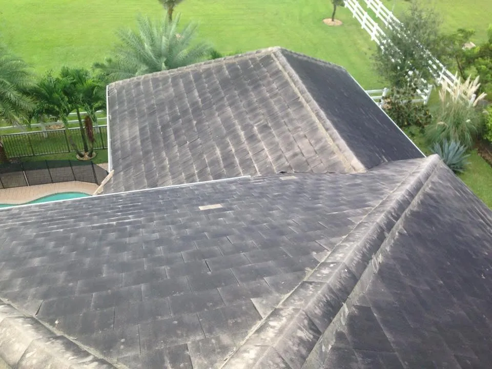 Slide of Fiddler Roof Cleaning