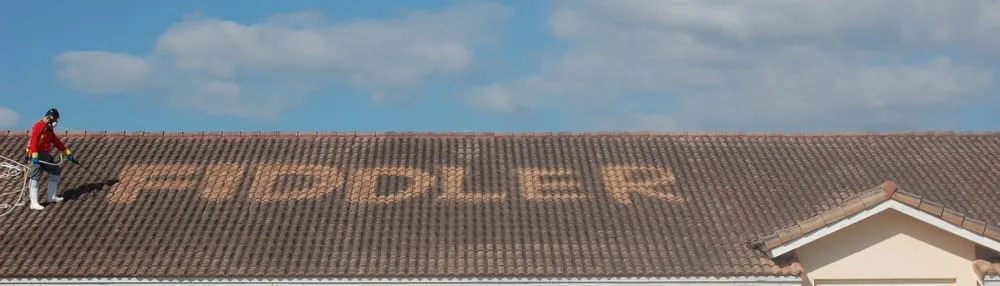 Slide of Fiddler Roof Cleaning