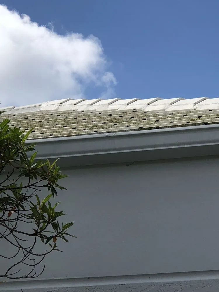 Slide of Fiddler Roof Cleaning