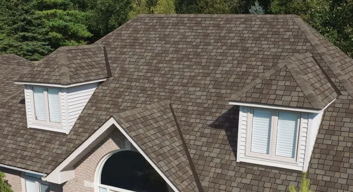 Slide of Fiddler's Roofing