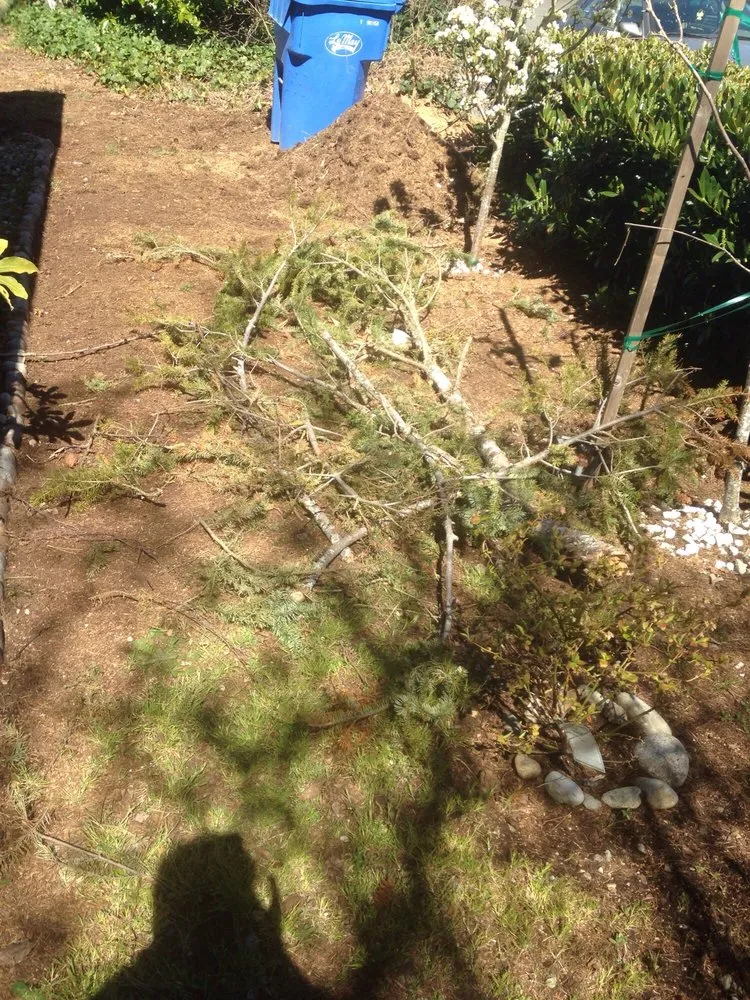 Slide of Fields Roof Service