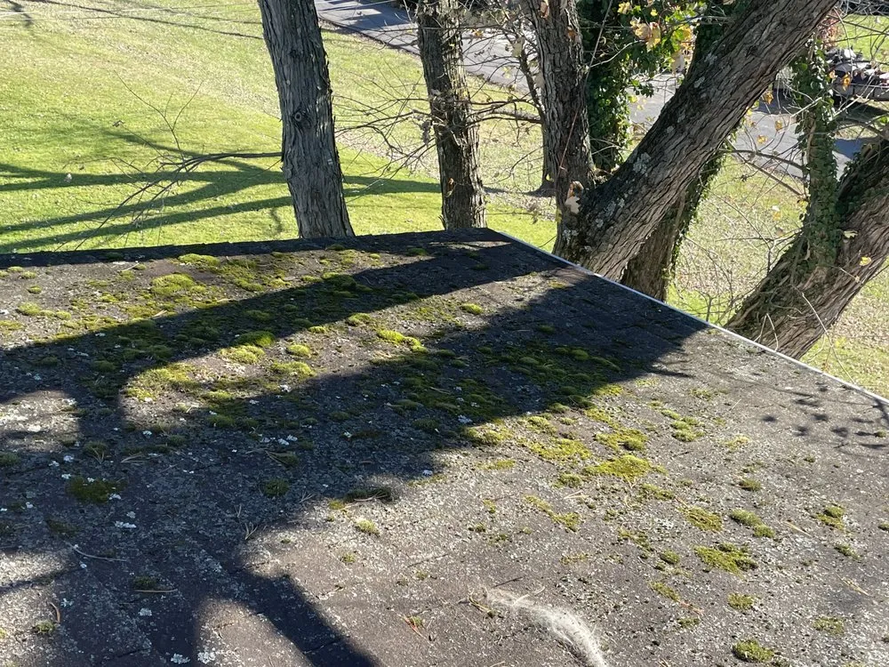 Slide of Figueroa Tree Solution Service