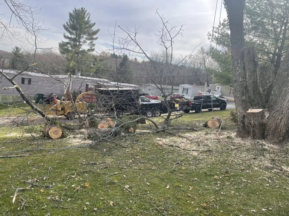 Slide of Figueroa Tree Solution Service