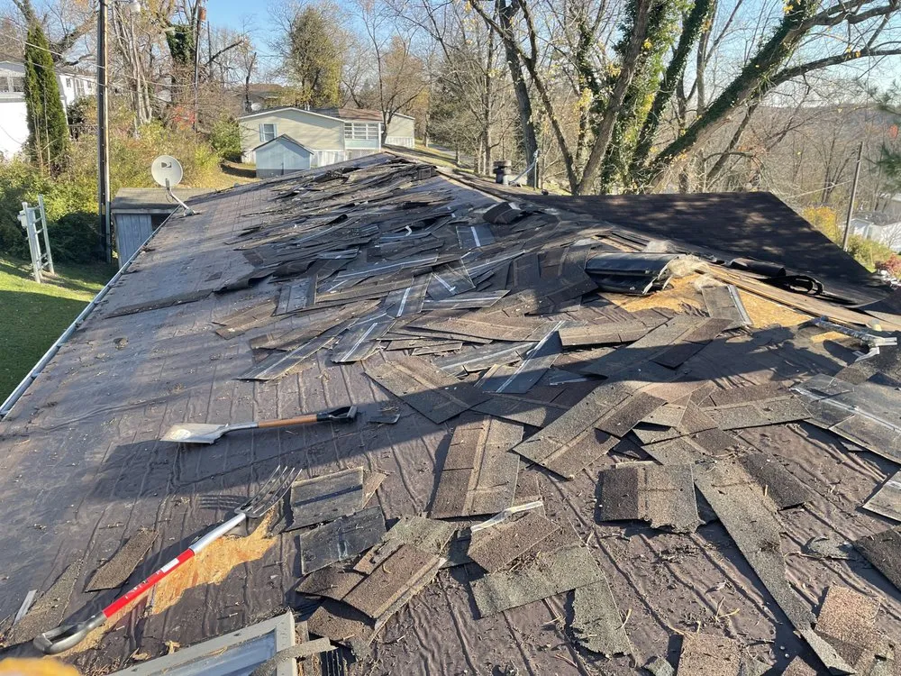 Slide of Figueroa Tree Solution Service