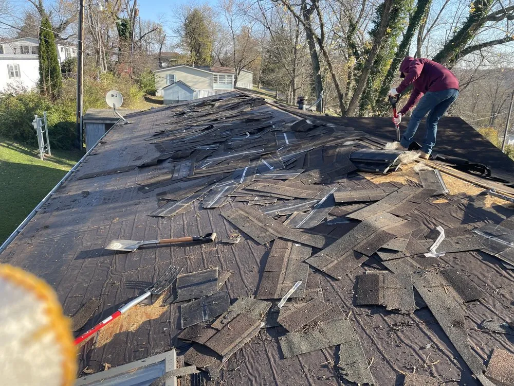 Slide of Figueroa Tree Solution Service