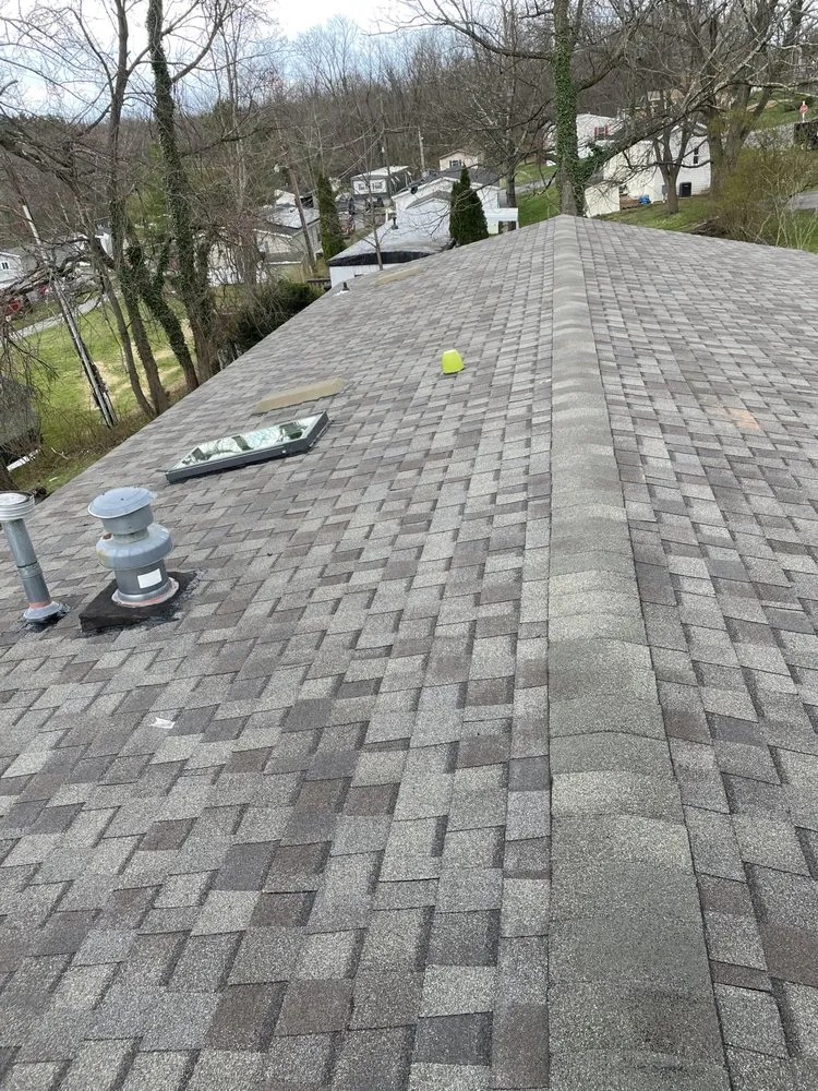 Slide of Figueroa Tree Solution Service