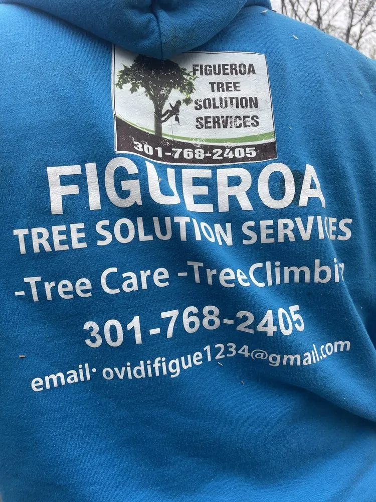 Slide of Figueroa Tree Solution Service