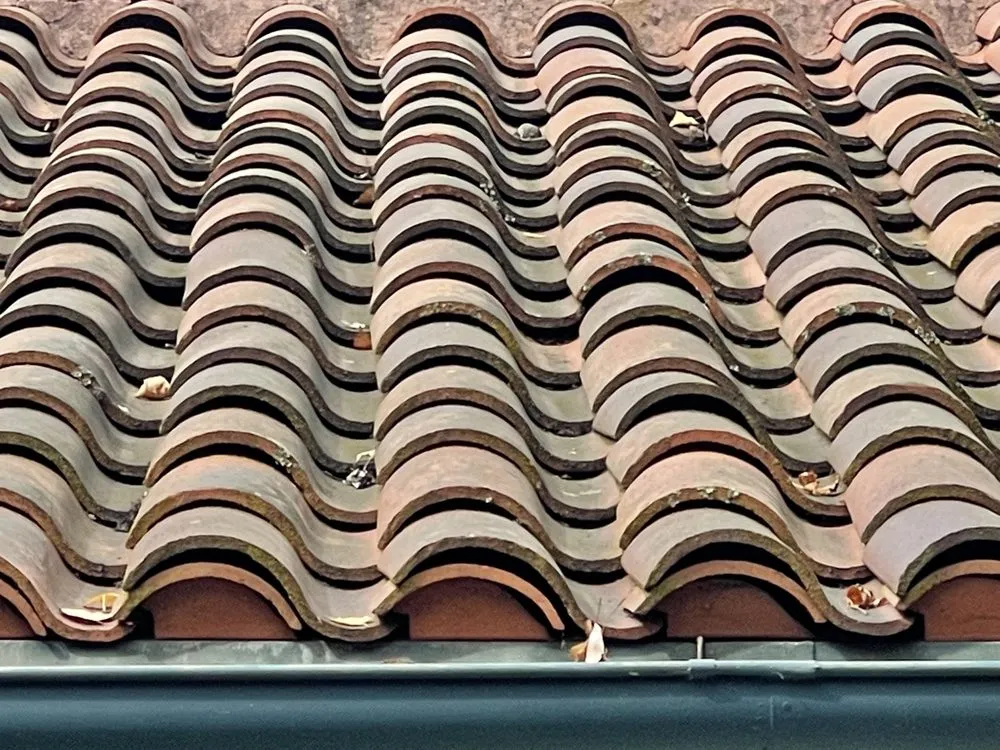 Slide of Fili's Roofing