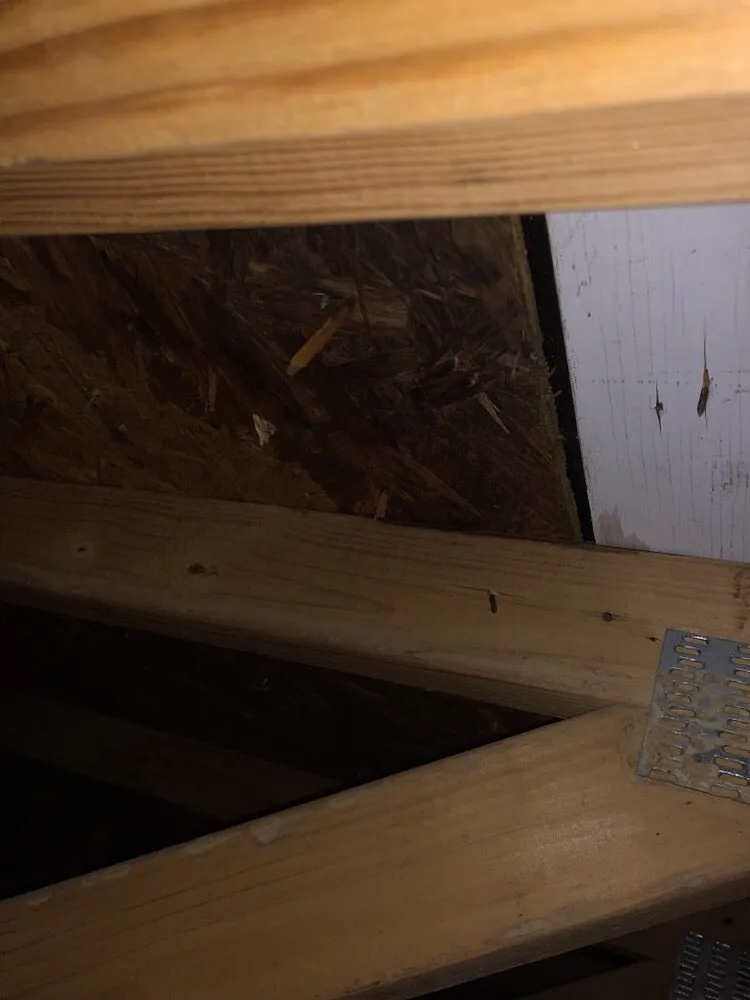 Slide of Findlay Roofing