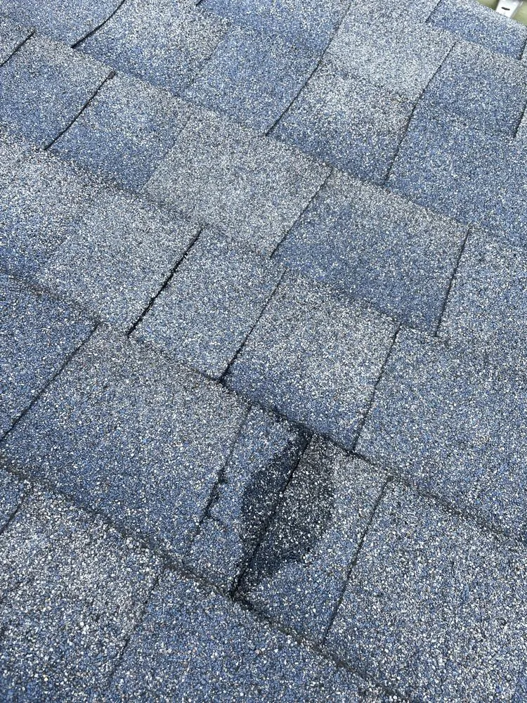 Slide of Fioredano Construction