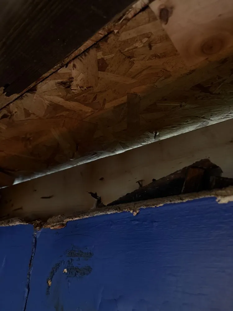 Slide of First 5 Logistics