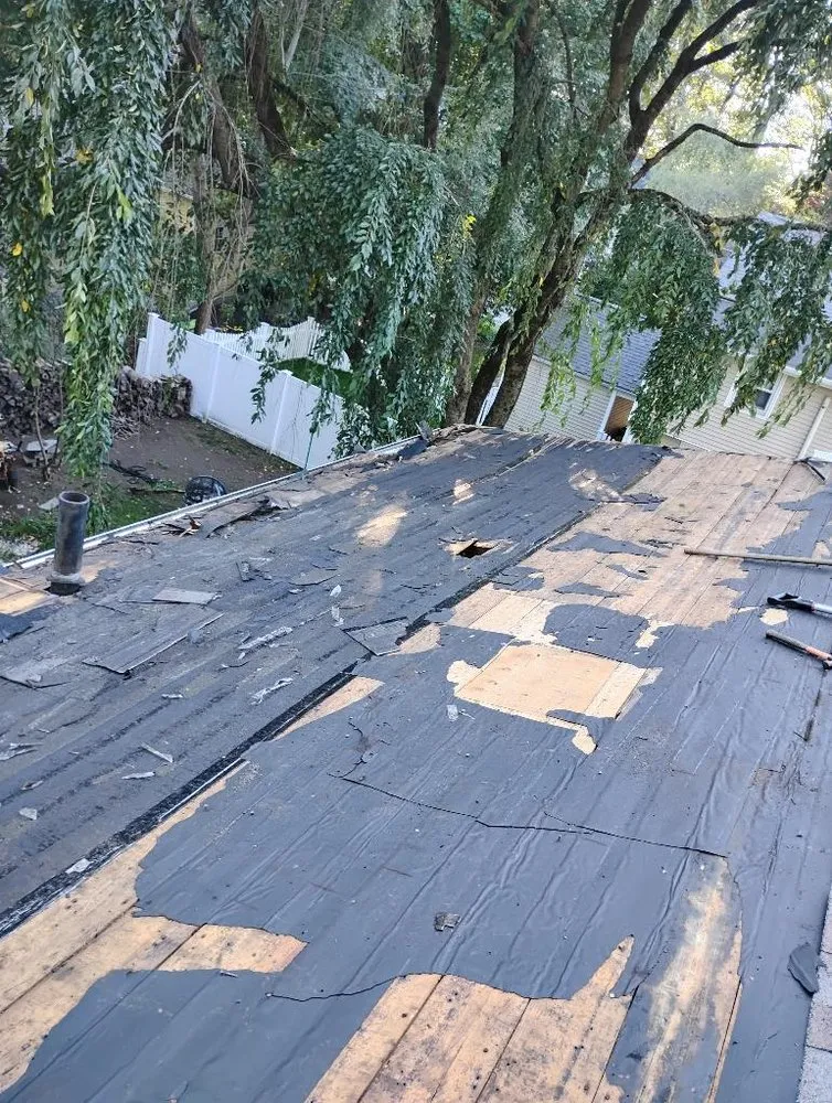 Slide of First 5 Logistics