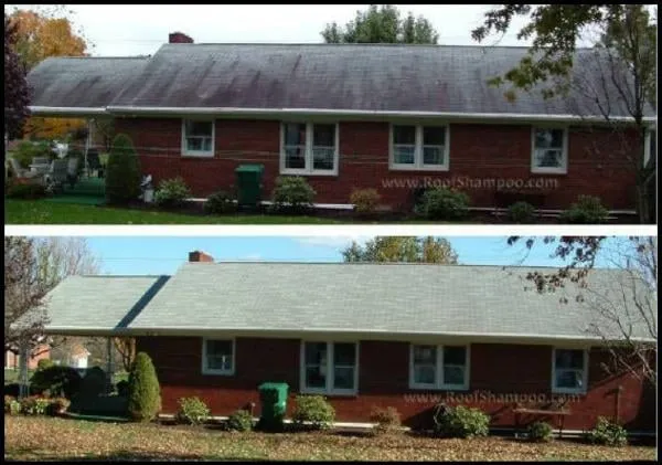 Slide of First Aid Roof Care