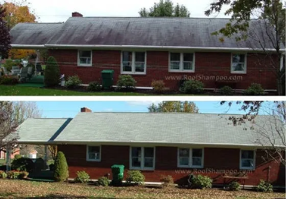 Slide of First Aid Roof Care