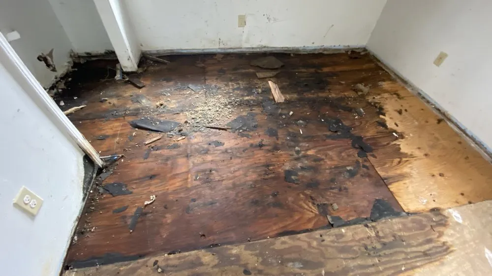 Slide of First Choice Constructors