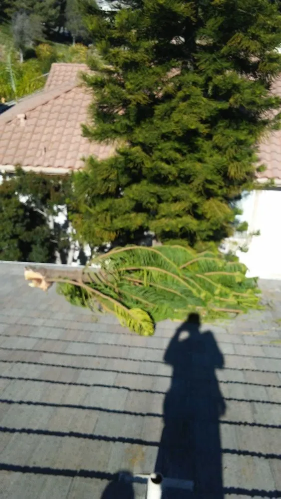 Slide of First Choice N Gutters