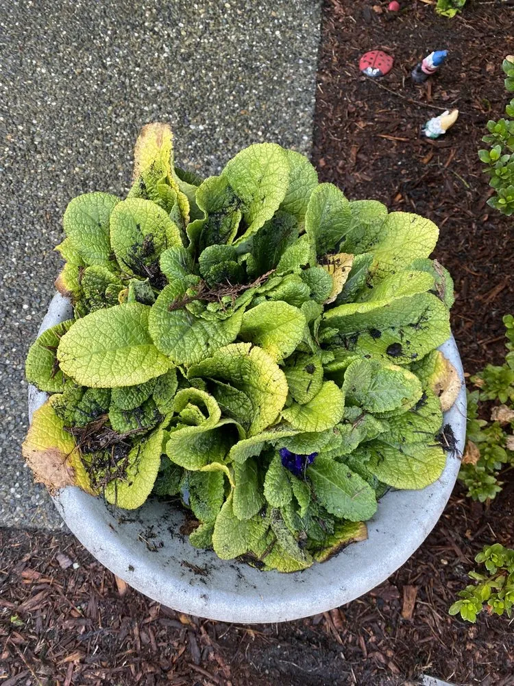 Slide of First Choice Roof Service