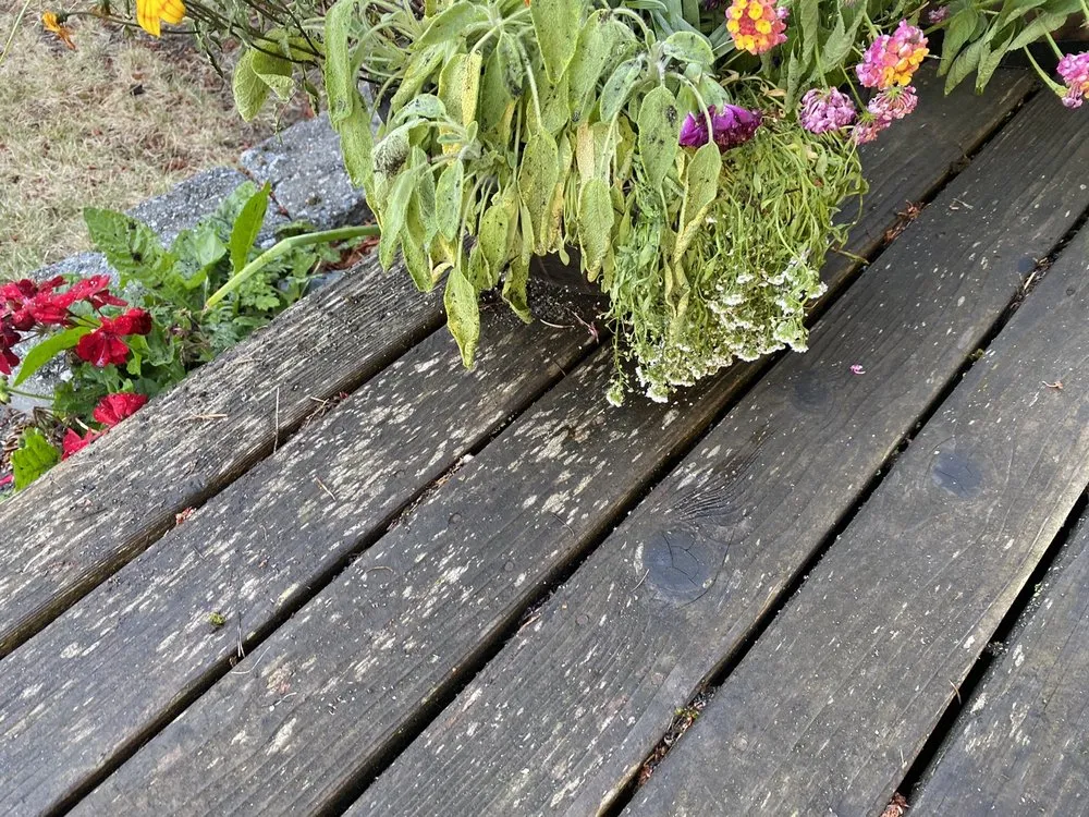 Slide of First Choice Roof Service