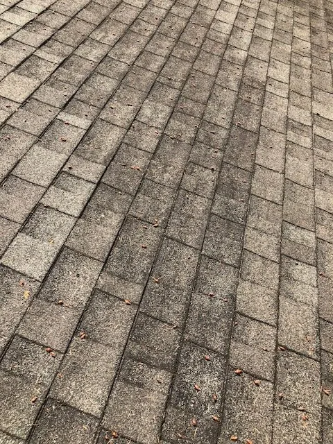 Slide of First Choice Roofing