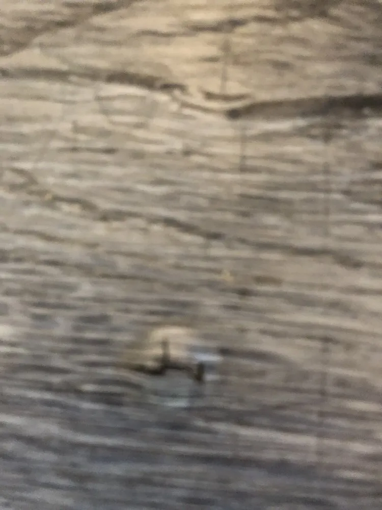 Slide of First Class Construction Services