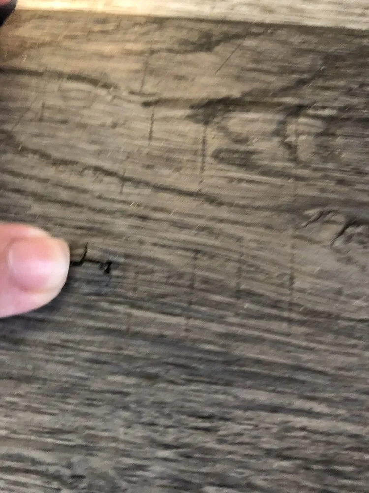 Slide of First Class Construction Services