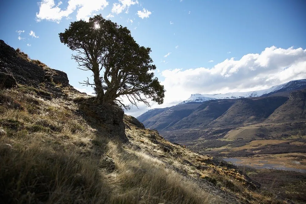 Slide of First Class Exteriors