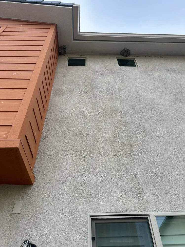 Slide of First Class Roof Cleaning