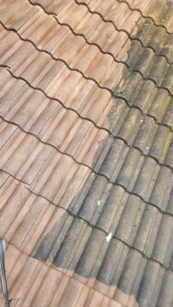 Slide of First Class Roof Cleaning