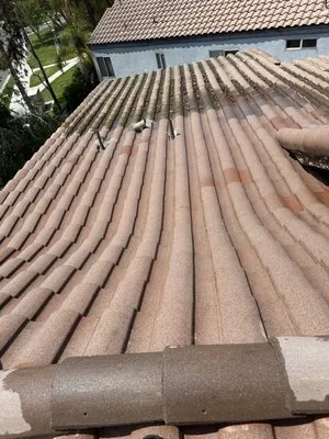 First Class Roof Cleaning