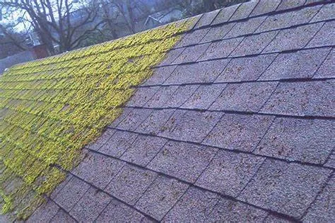 Slide of Fisher’s Landscaping and Snow Removal