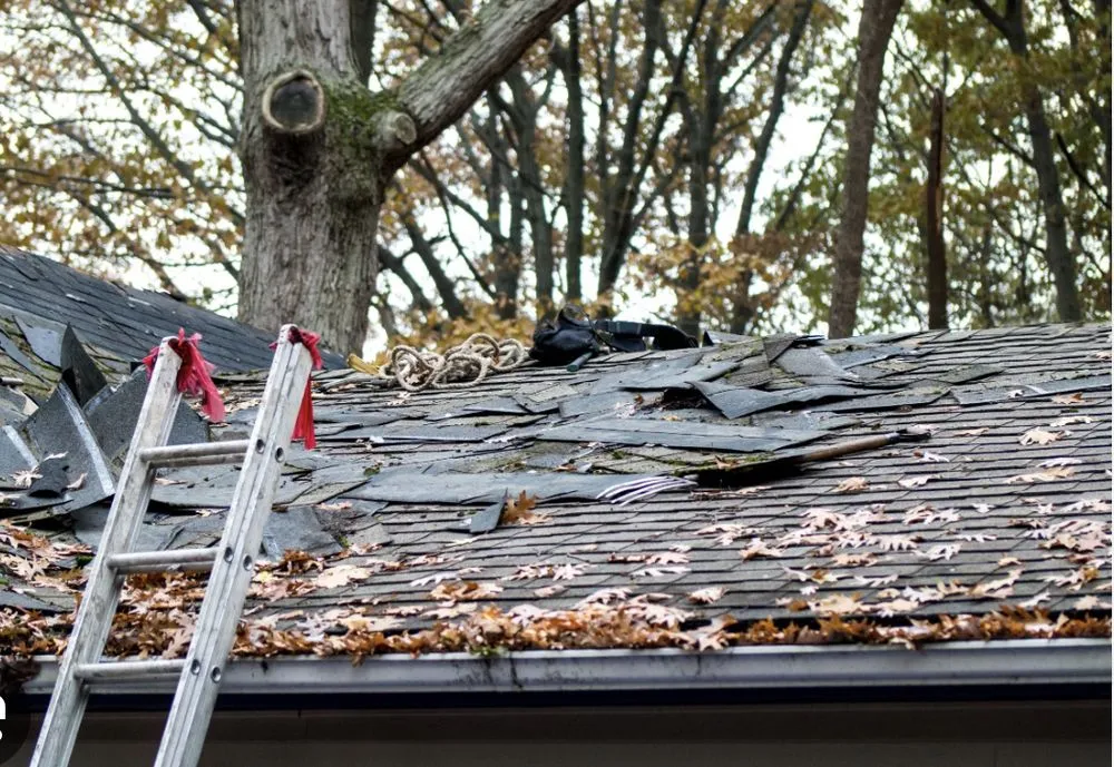 Slide of Fitzpatrick Construction