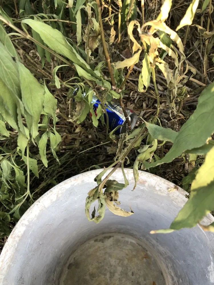 Slide of Five Guys Roofing