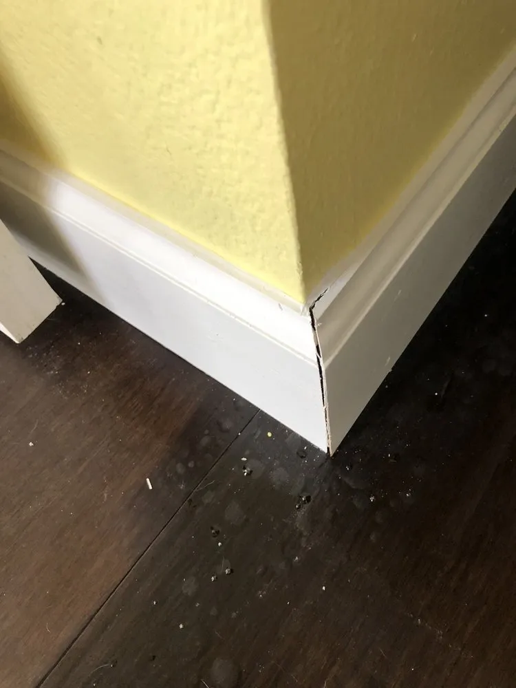 Slide of Five Guys Roofing