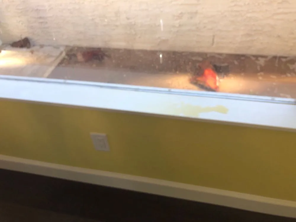 Slide of Five Guys Roofing