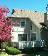 Top-rated flat roof repair in Pine, CO - Five Sons Roofing