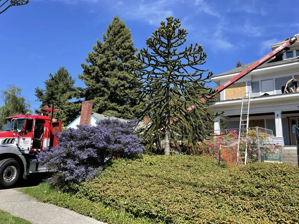 Slide of Five Star Roofing & Remodeling