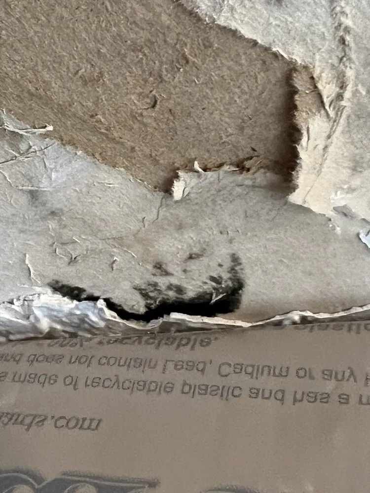 Slide of Fix My Roof