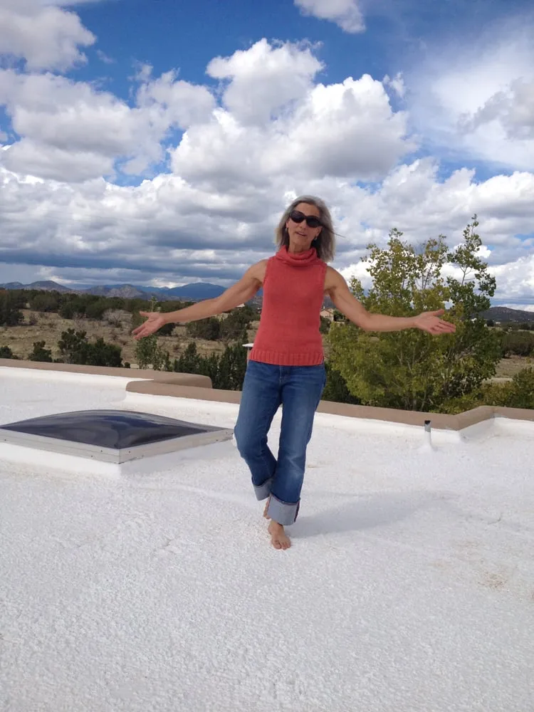 Slide of Fix My Roof