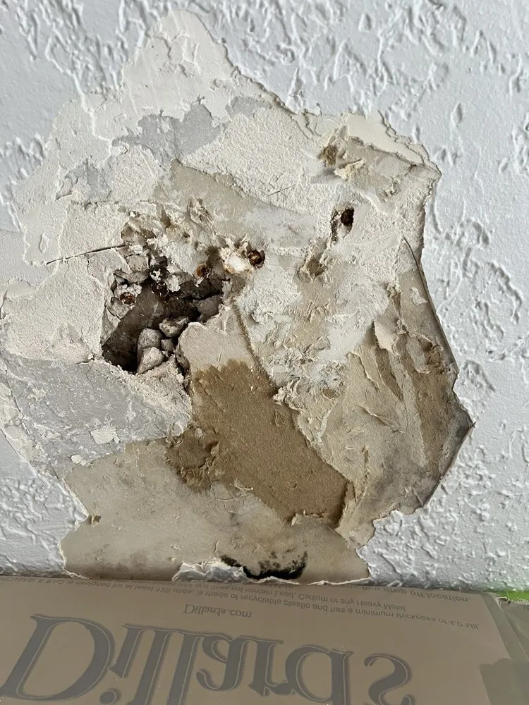 Slide of Fix My Roof