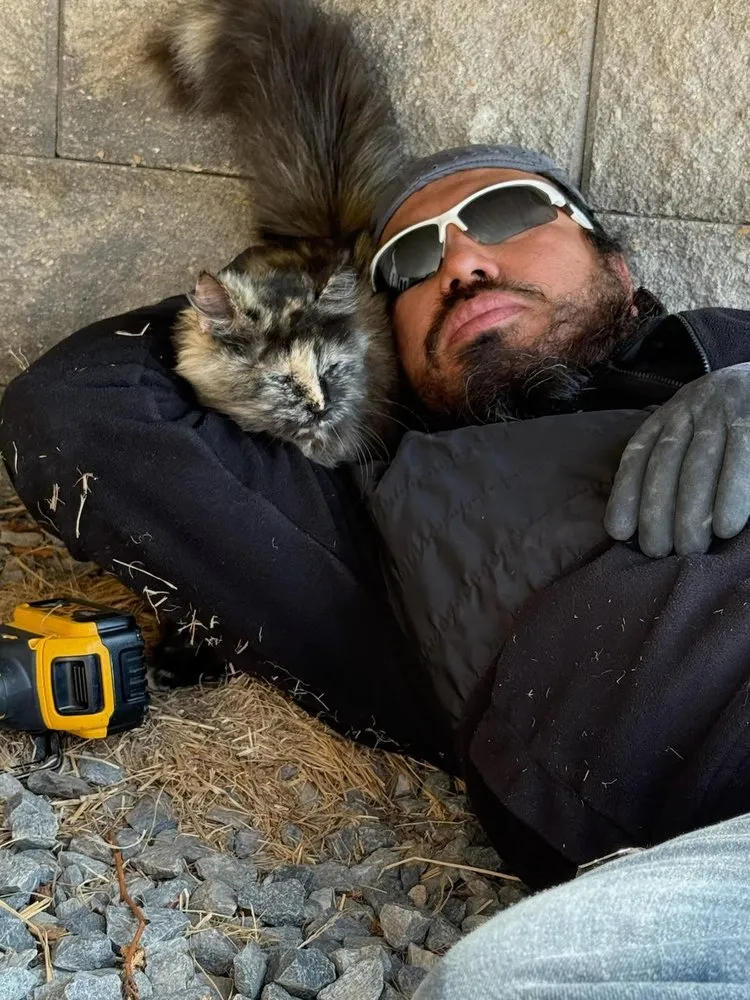 Slide of FJ Orisa Construction