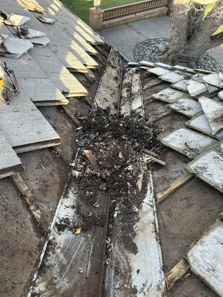 Slide of Flair roofing