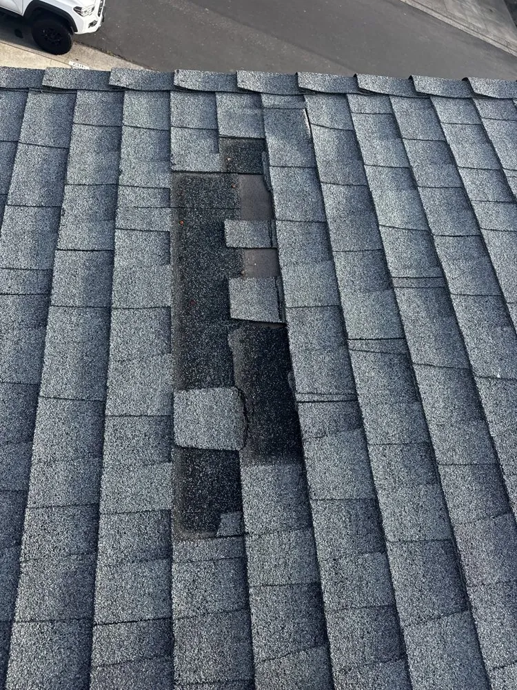 Slide of Flair roofing