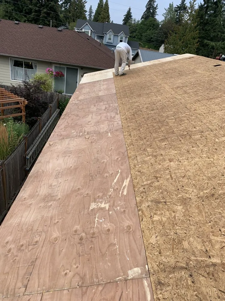 Slide of Flamingo Roof Care