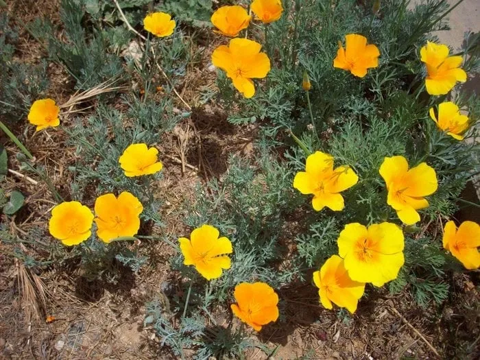 Slide of Flash Roofing and Sheet Metal